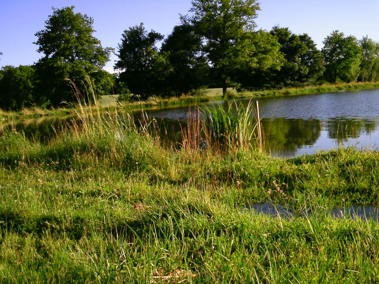 2013-06-20-41