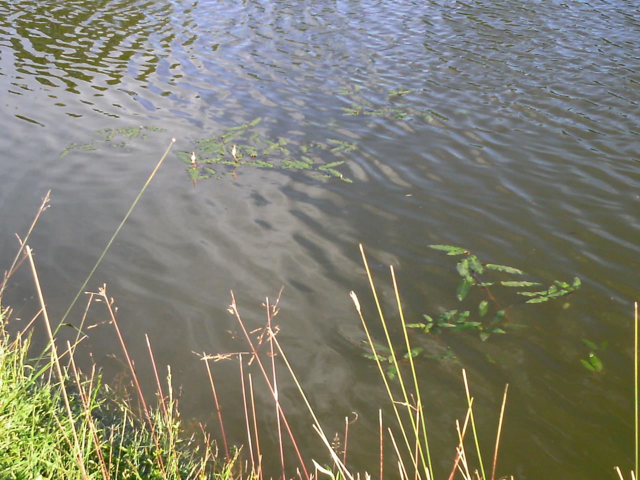 2013-06-20-46