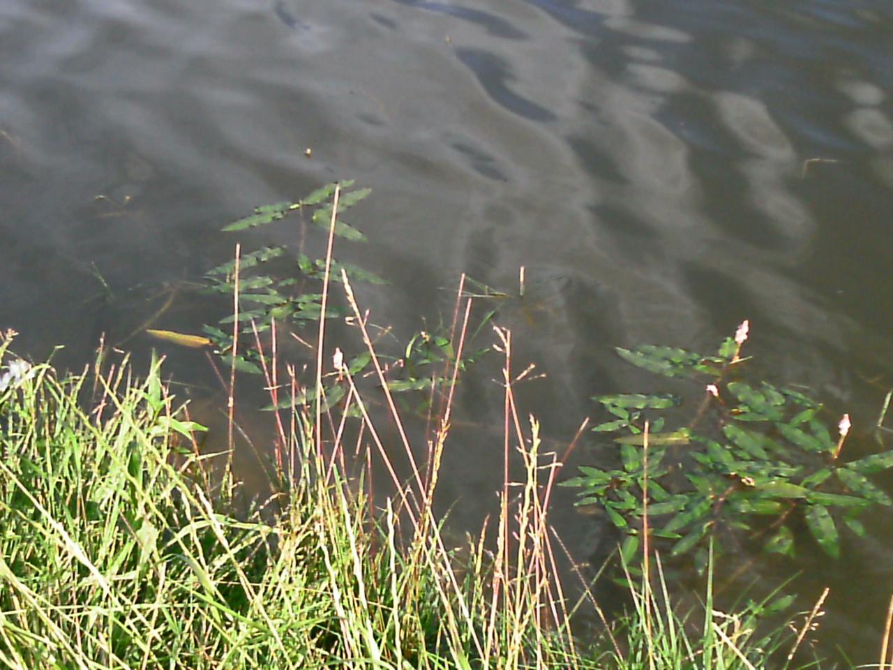 2013-06-20-52
