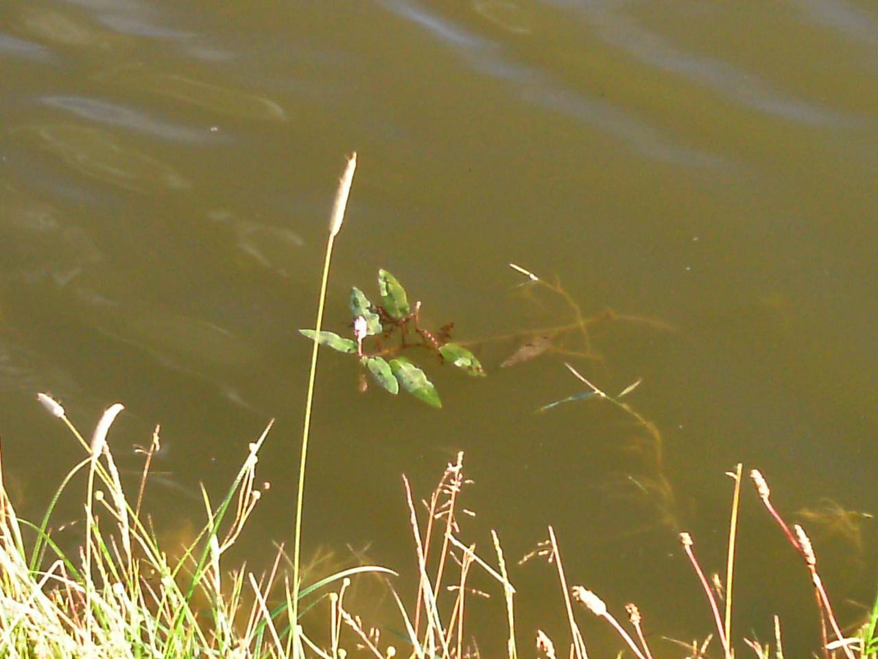2013-06-20-53