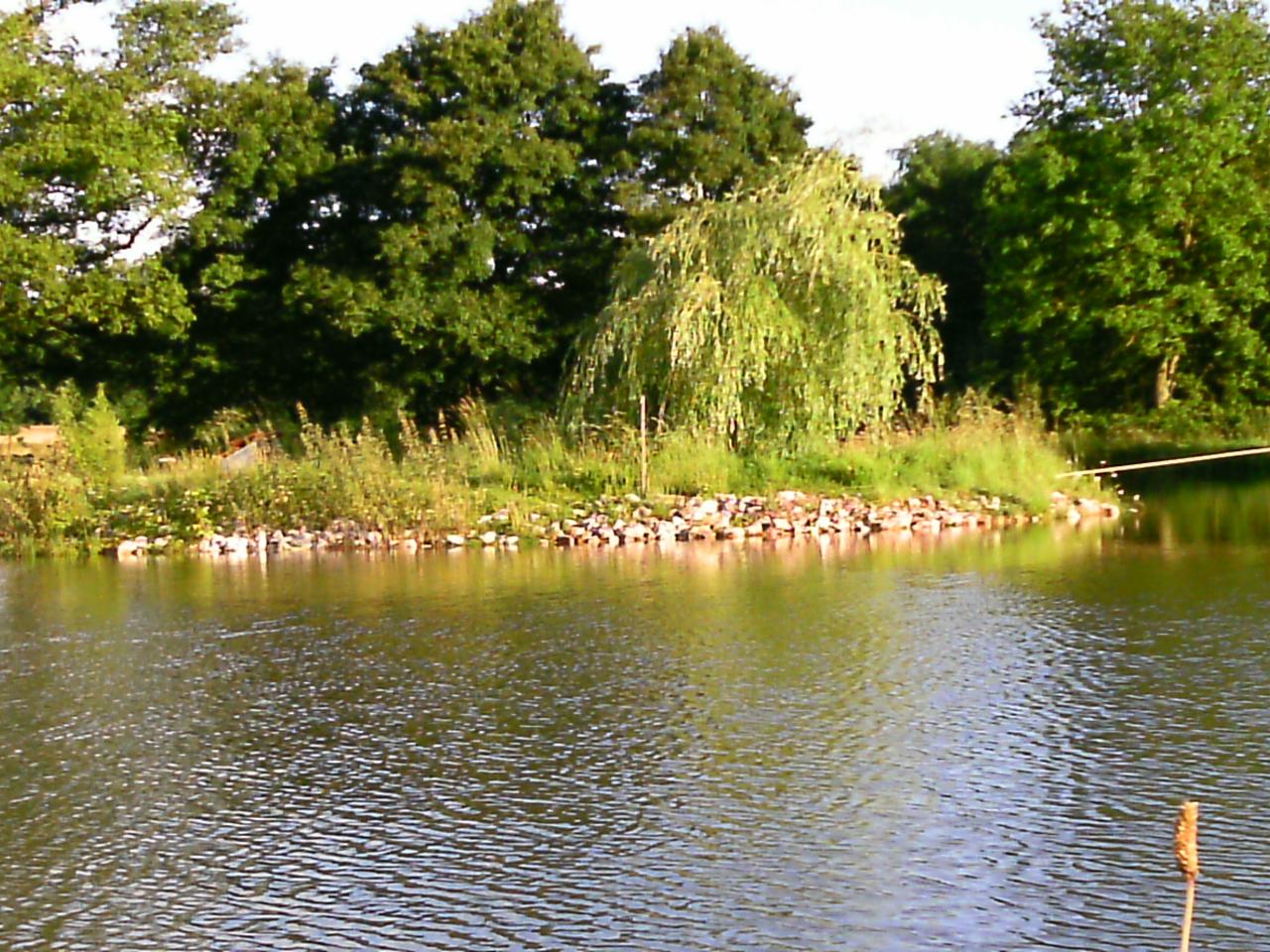 2013-06-20-58