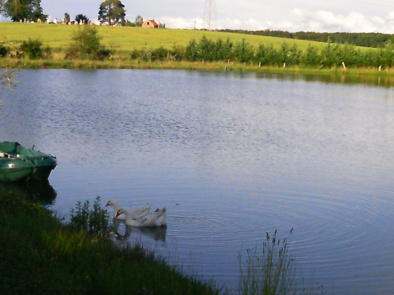 2013-06-20-67