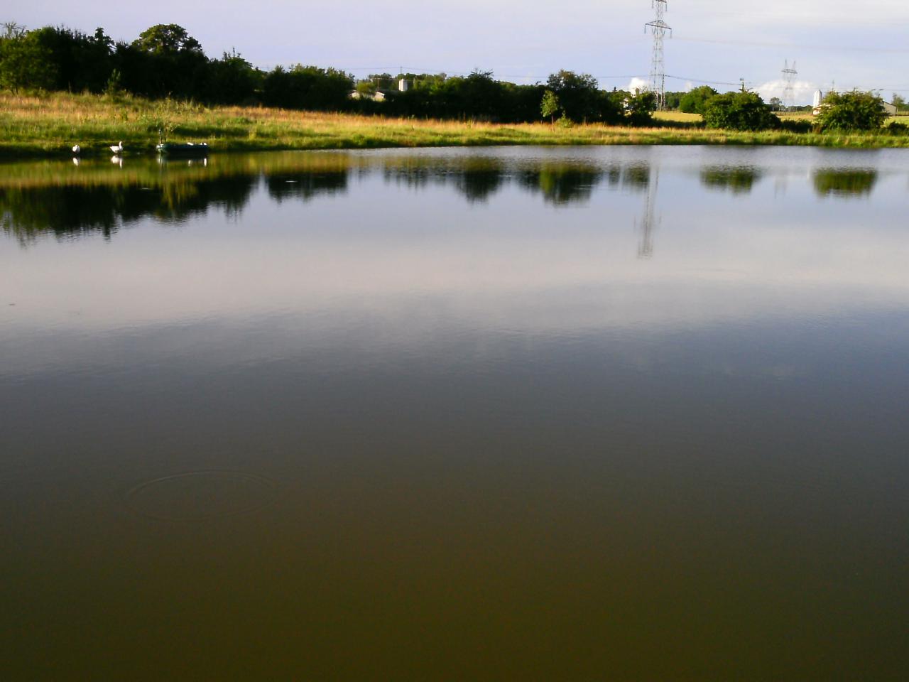 2013-06-20-9