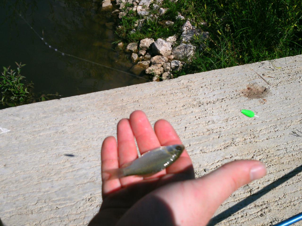 2013-08-11(10)