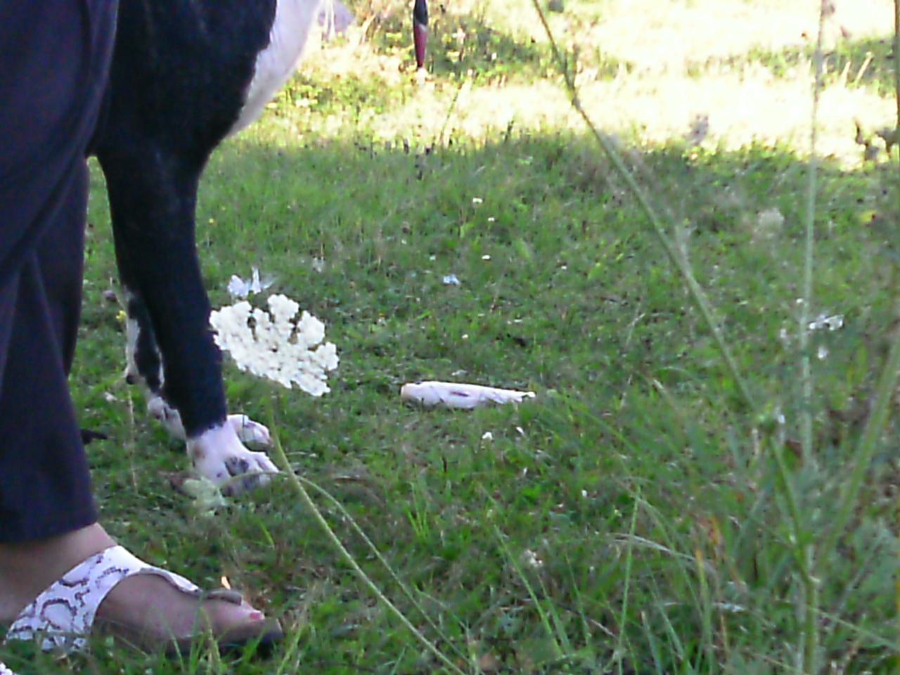 2013-08-11(101)