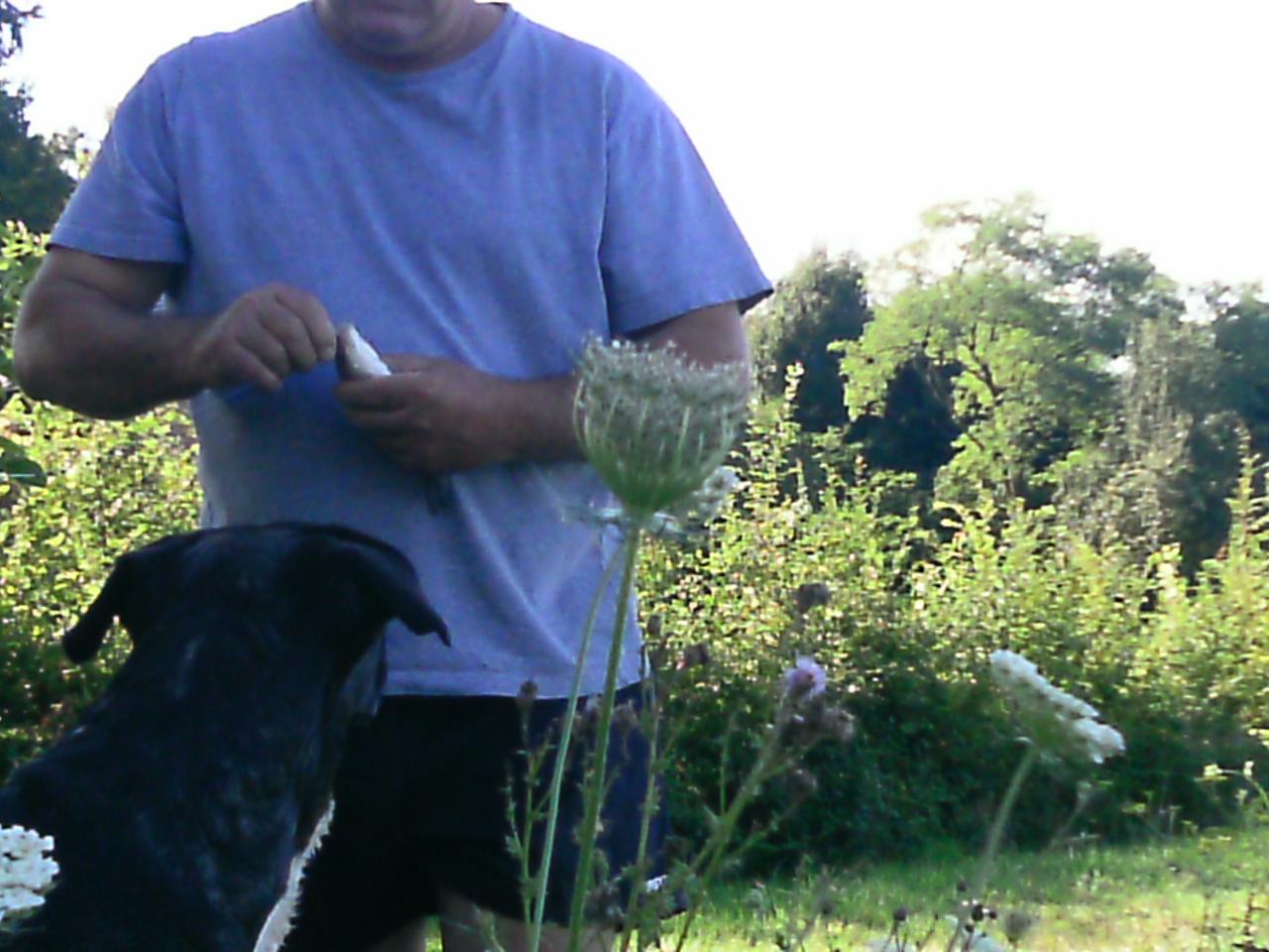 2013-08-11(102)