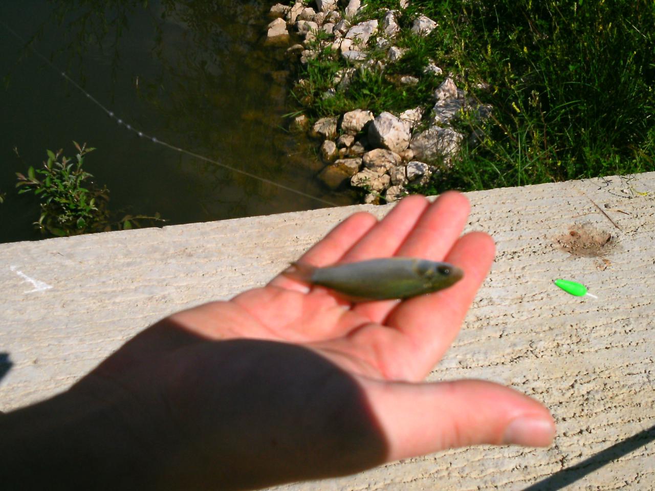 2013-08-11(11)