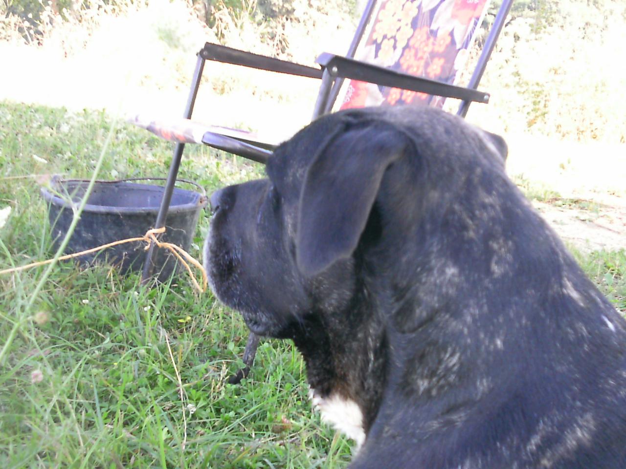 2013-08-11(119)