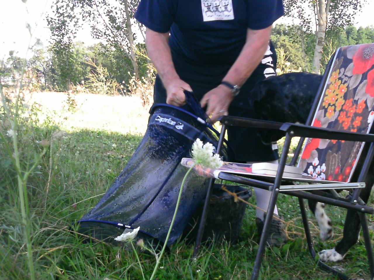 2013-08-11(120)