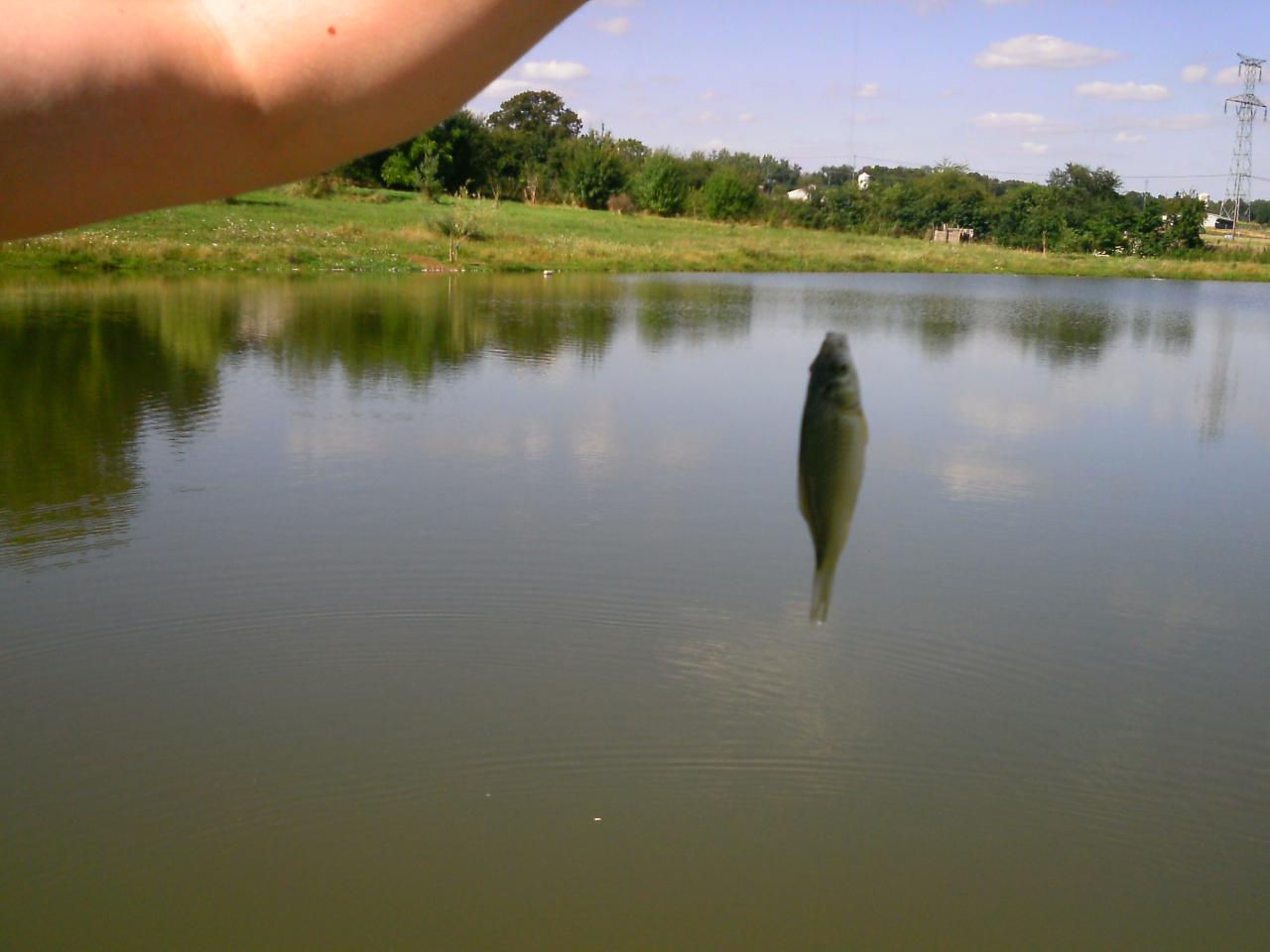 2013-08-11(19)