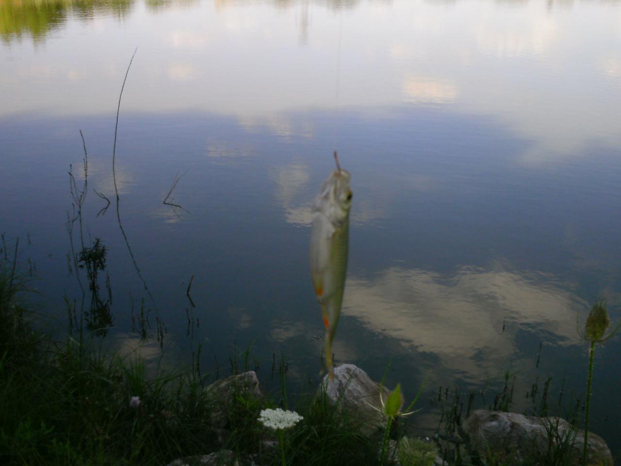 2013-08-11(20)