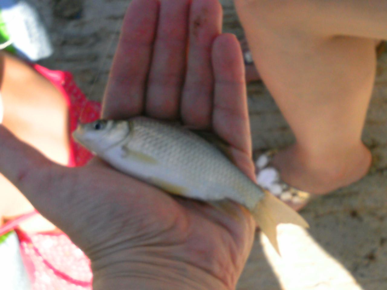 2013-08-11(31)