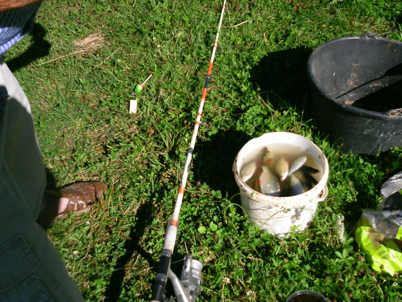 2013-08-11(40)