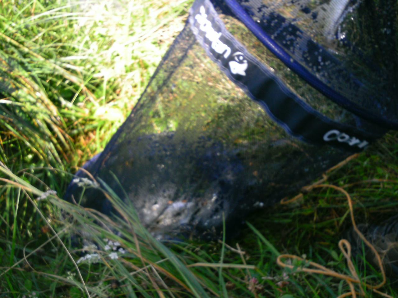 2013-08-11(43)