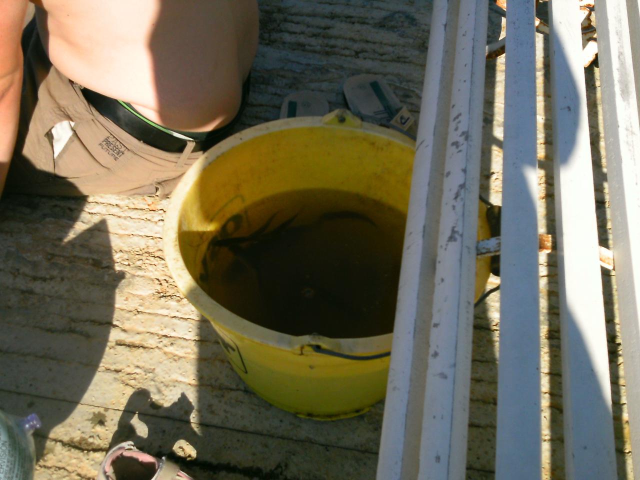2013-08-11(53)