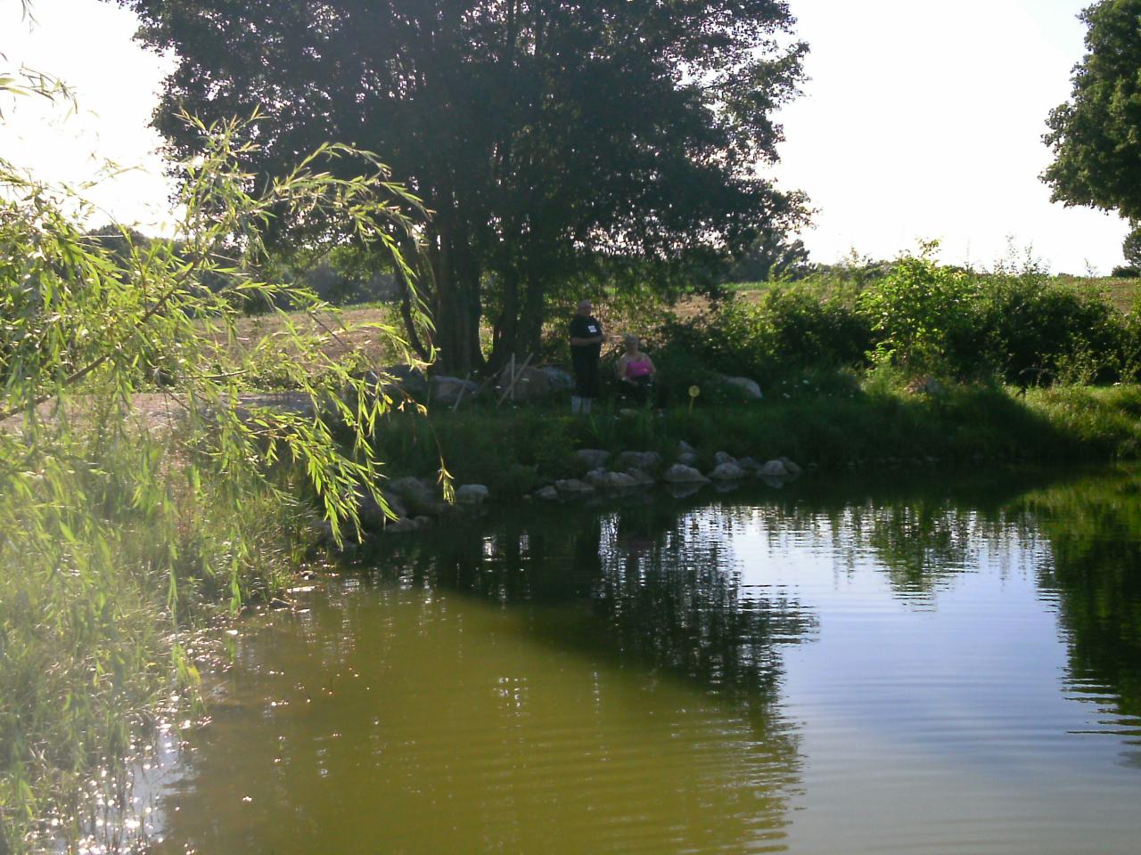 2013-08-11(54)