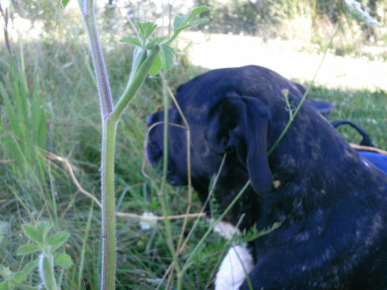2013-08-11(91)