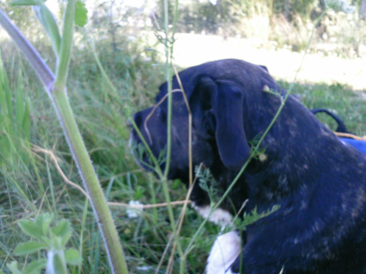 2013-08-11(92)