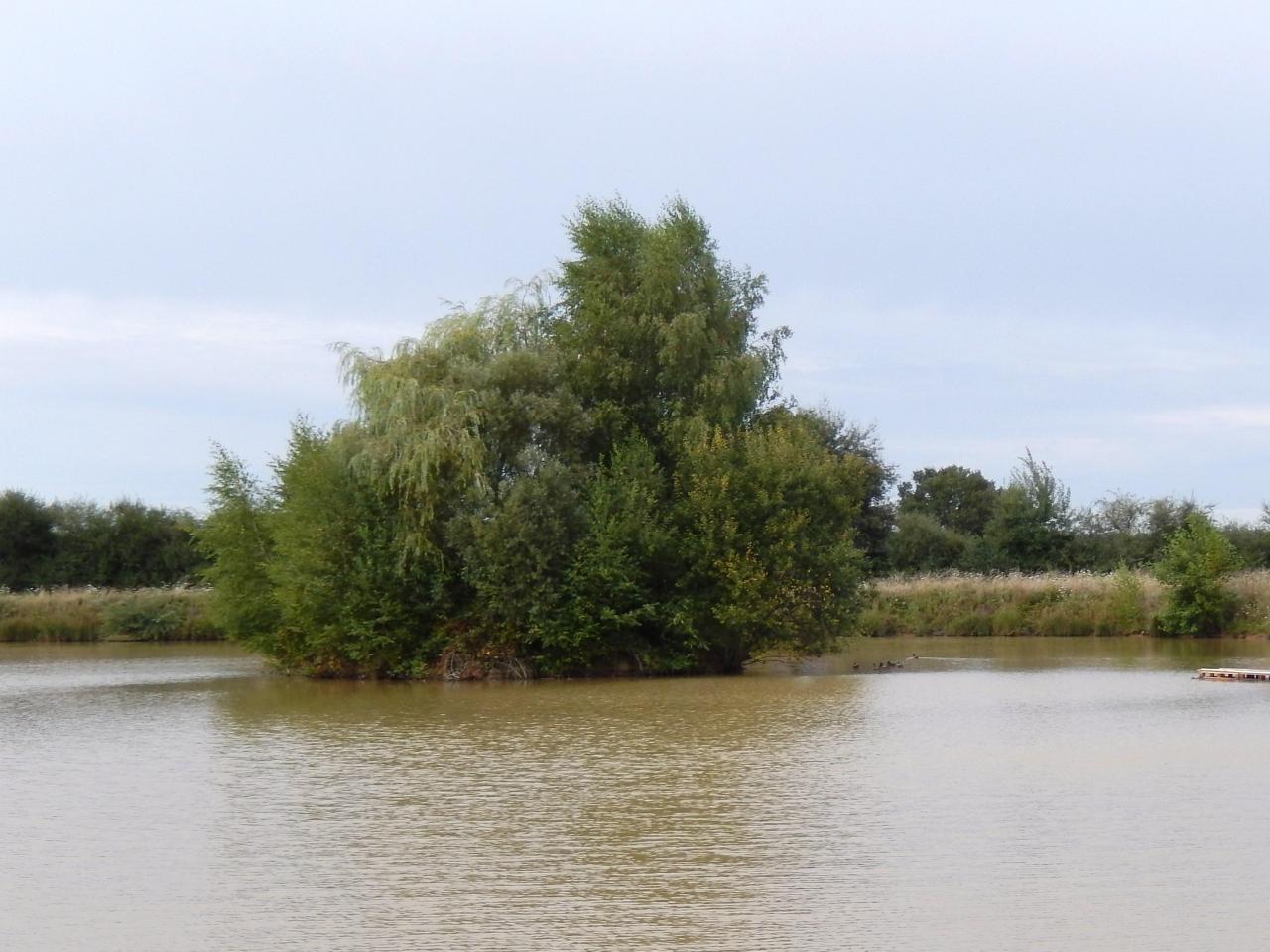 2013-08-25 GérardB10