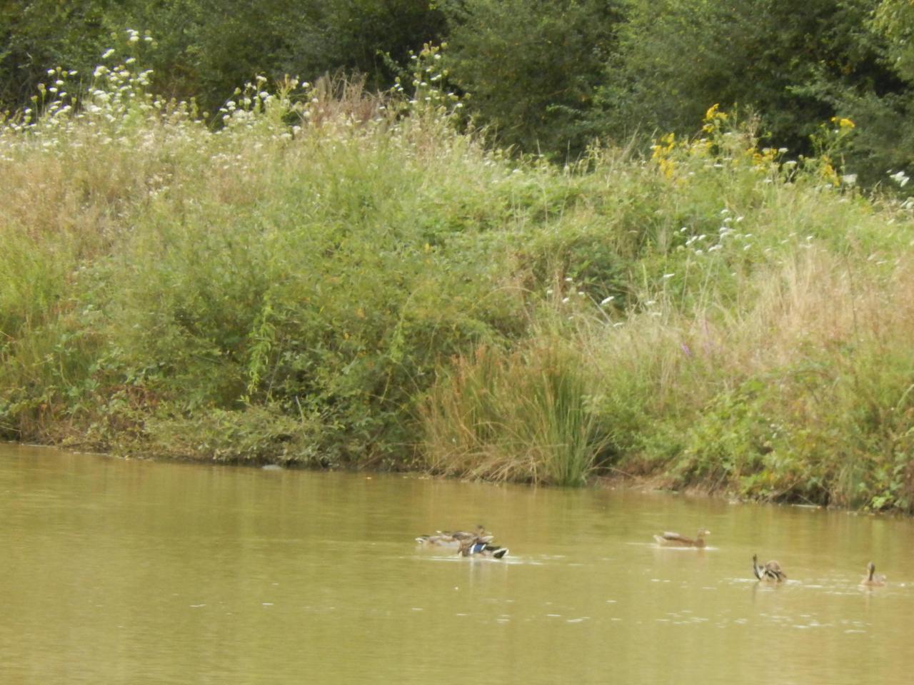 2013-08-25 GérardB100