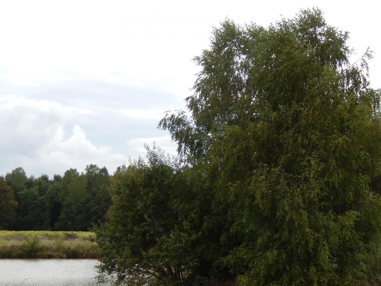 2013-08-25 GérardB170