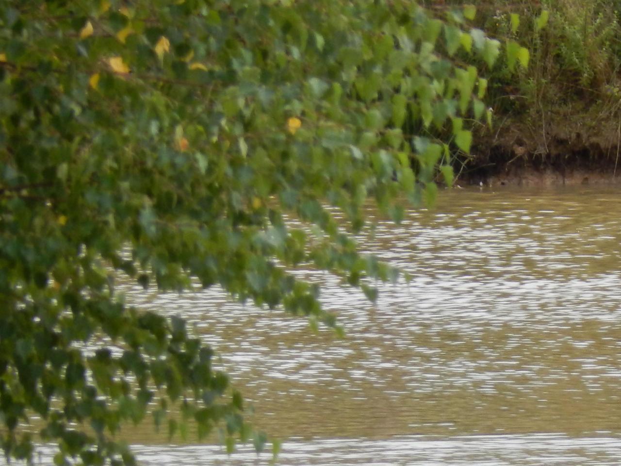 2013-08-25 GérardB190