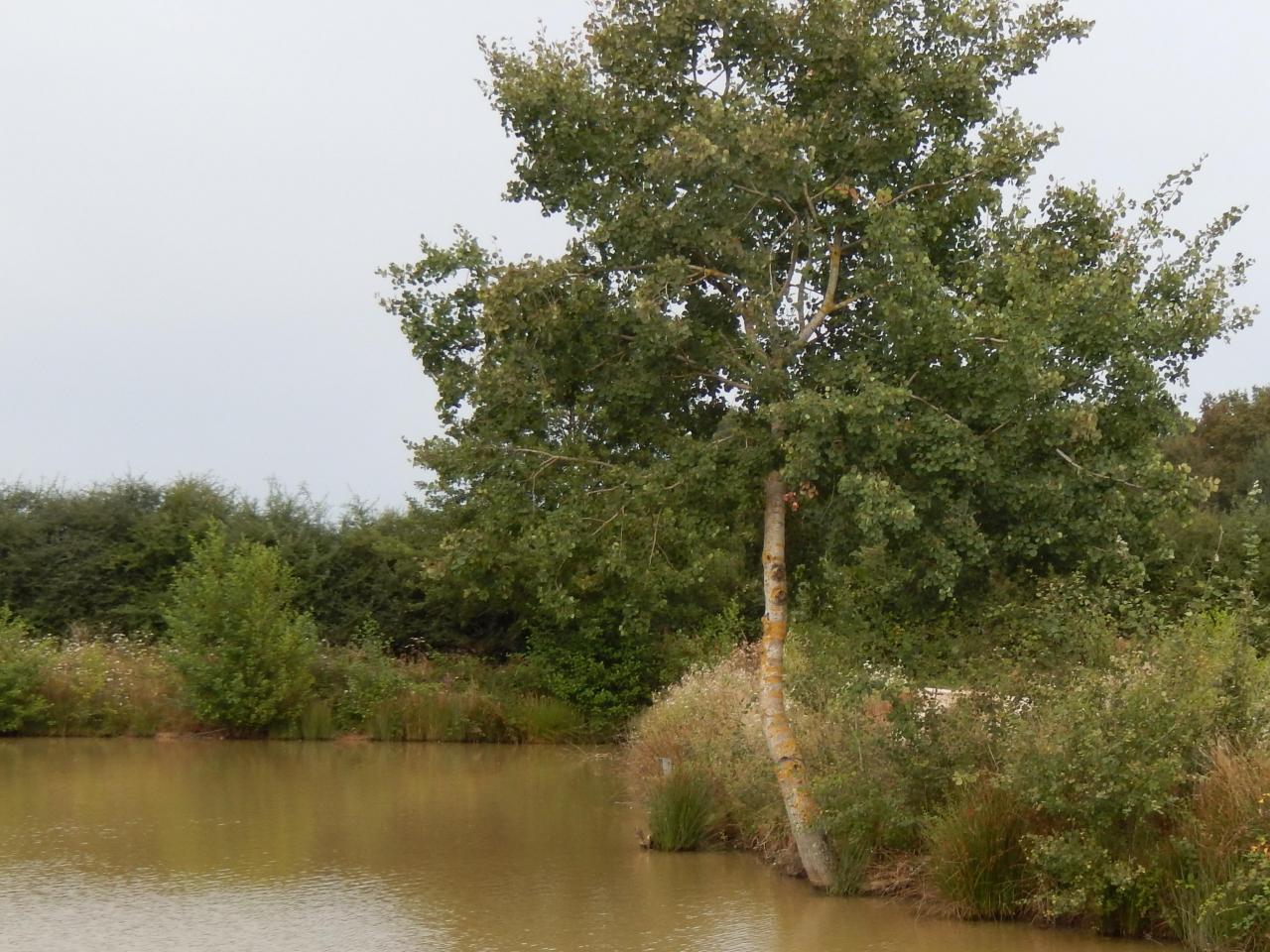 2013-08-25 GérardB20
