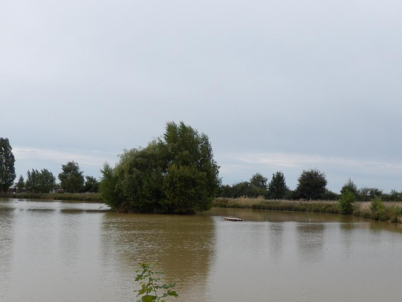 2013-08-25 GérardB50