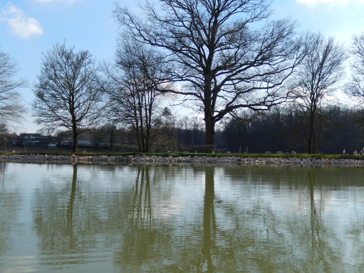 2014-03-02 (360)