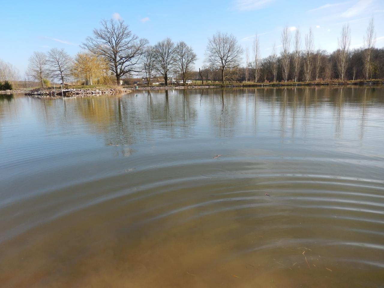 2014-03-02 (820)