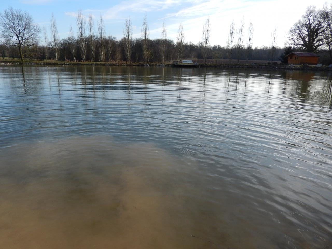 2014-03-02 (860)