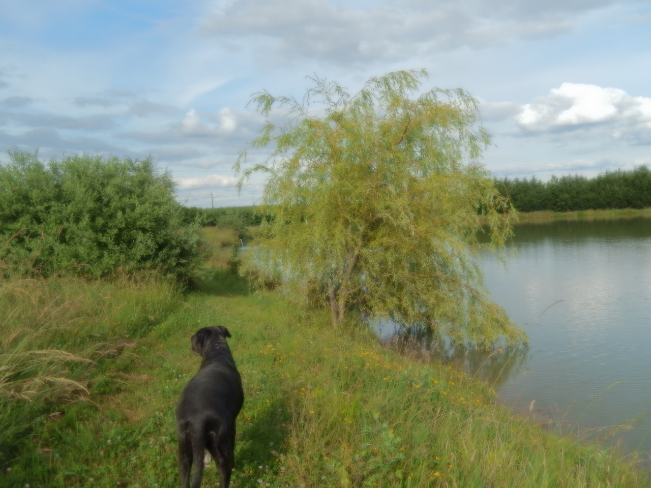 2017-04-06 peche009