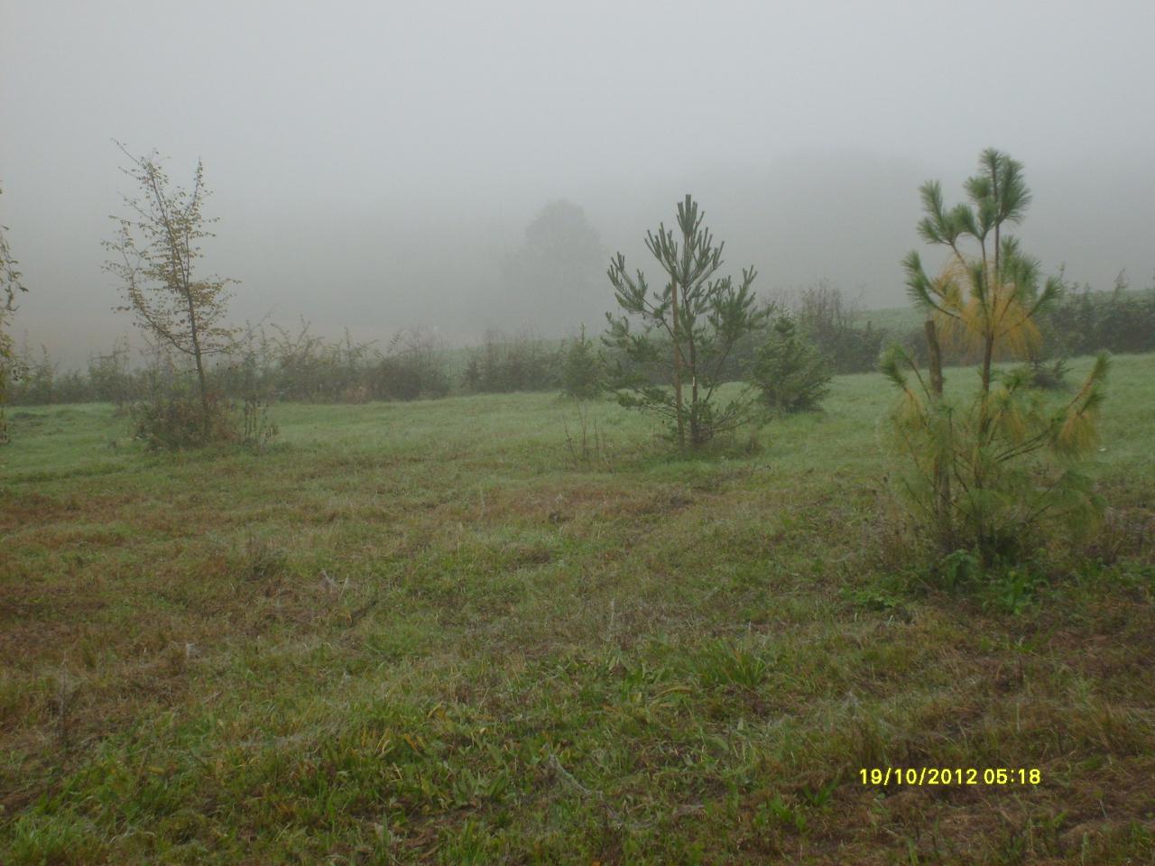 Automne 15
