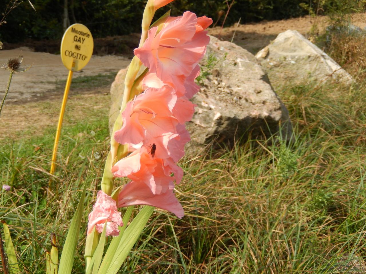DSCN1307