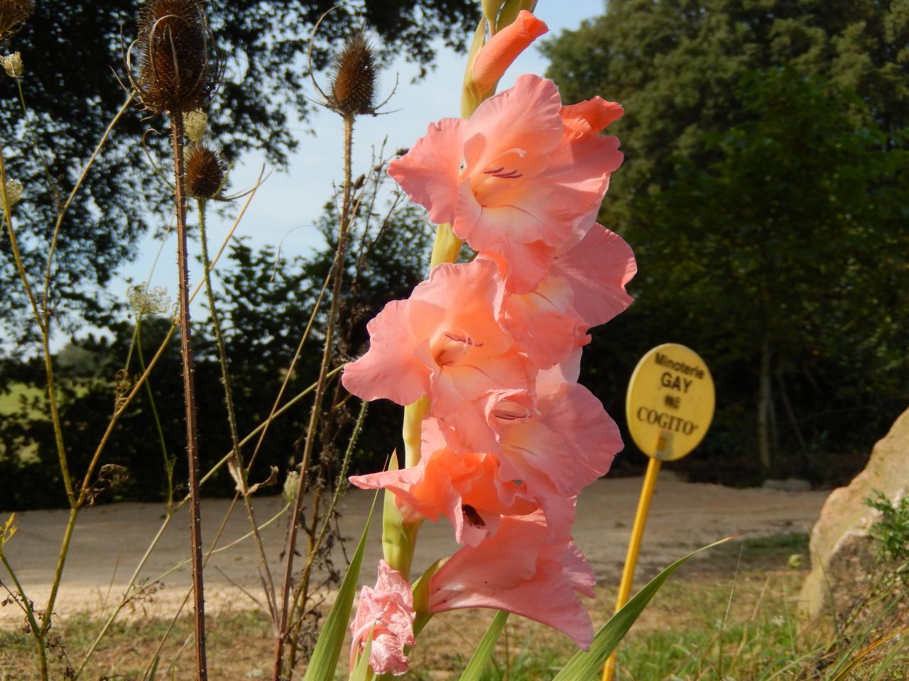 DSCN1309