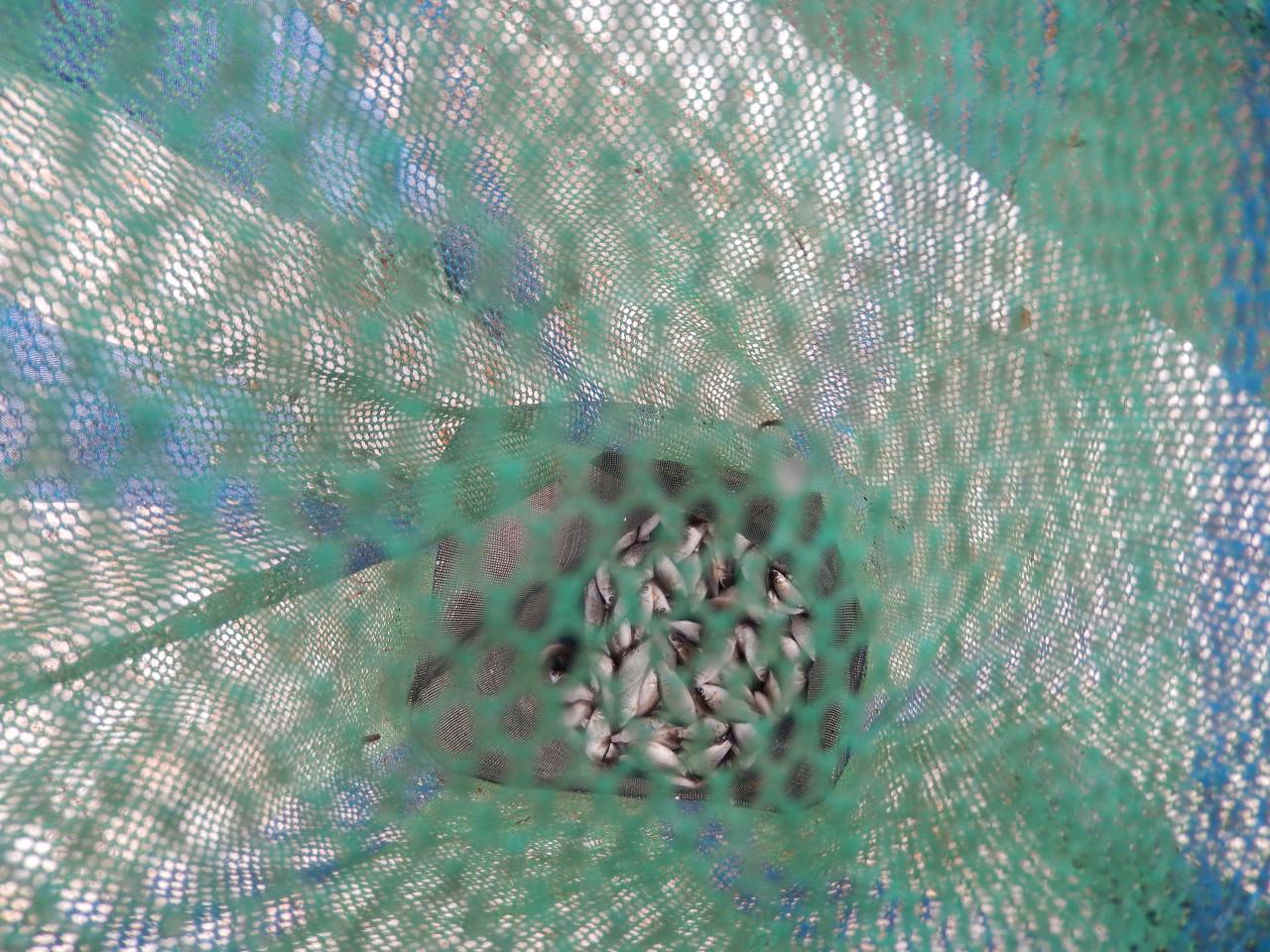 DSCN1316