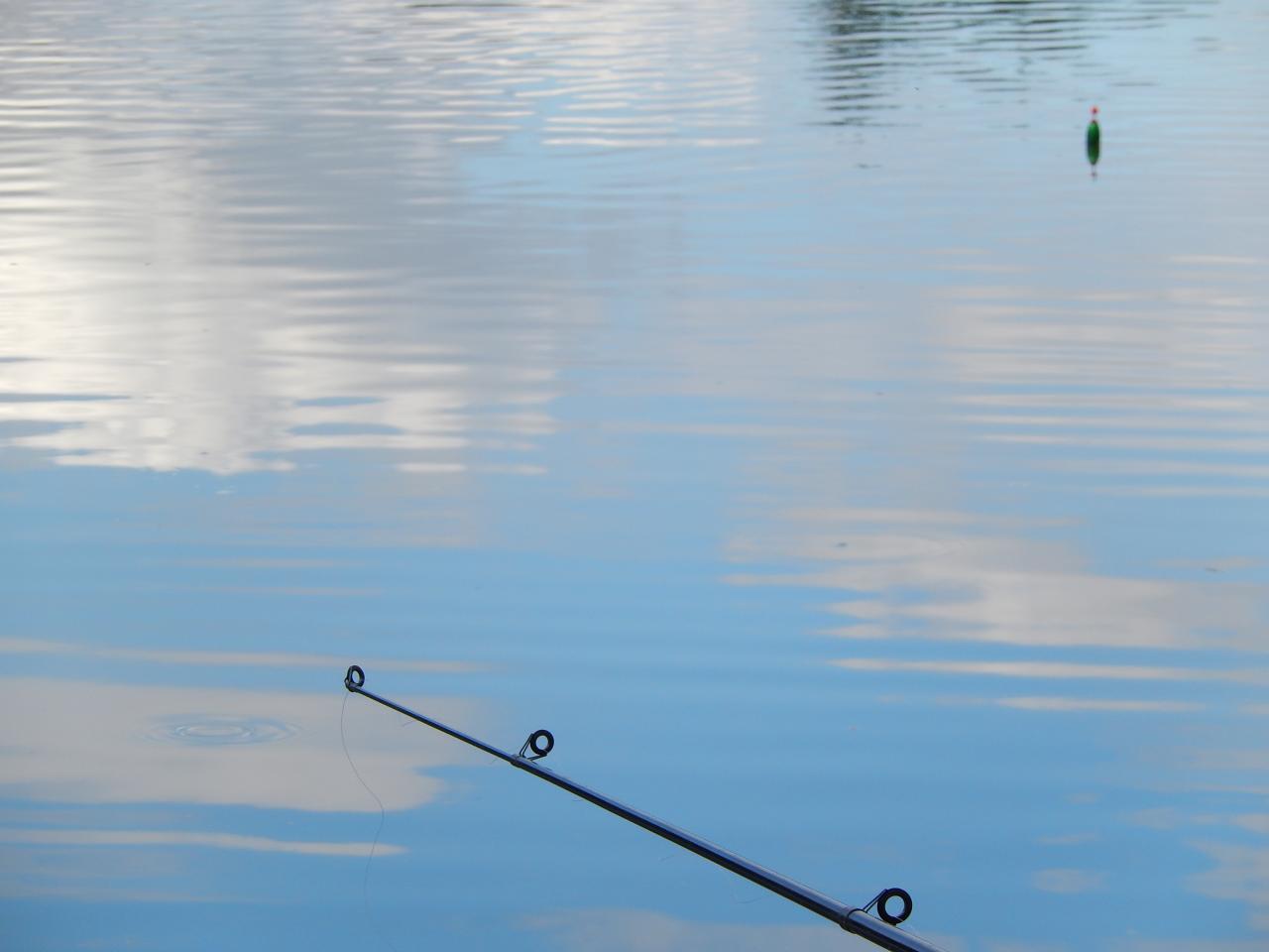 DSCN5186