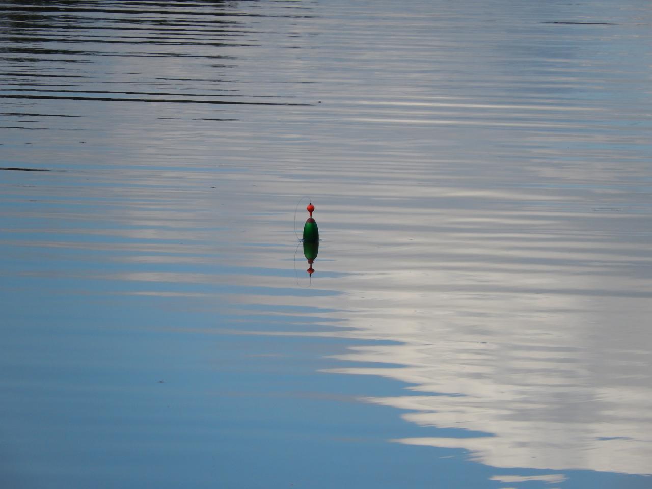 DSCN5195