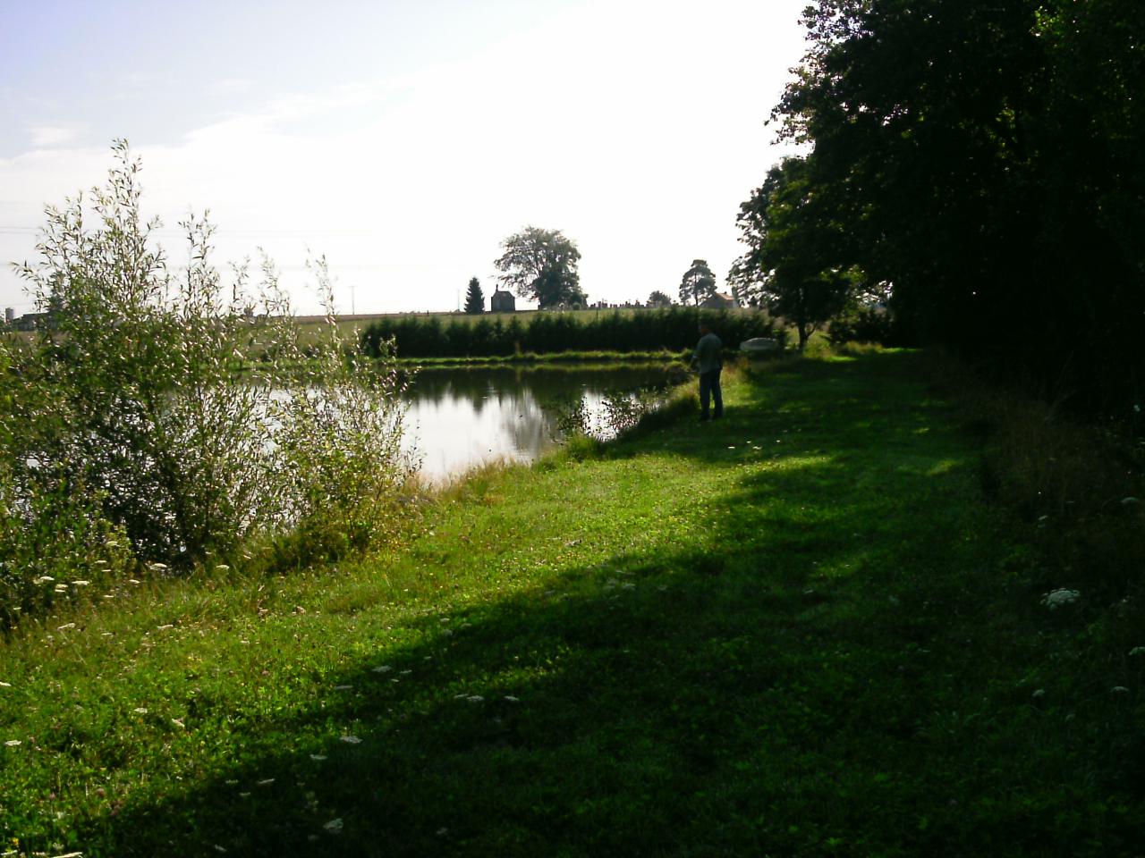Matteo8