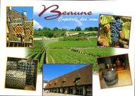 Beaune capitale des vins