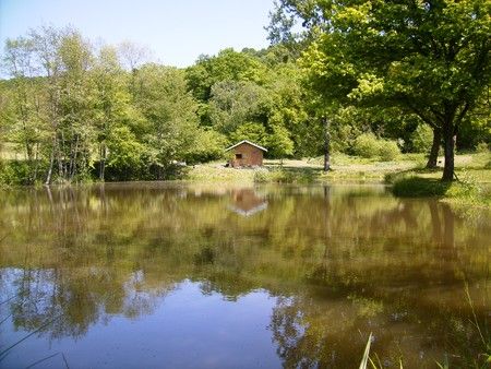 Bienvenue sur Etang et Chalet