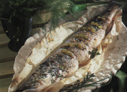 brochet-cuisine.png