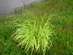 planteb4.jpg planteb4.jpg